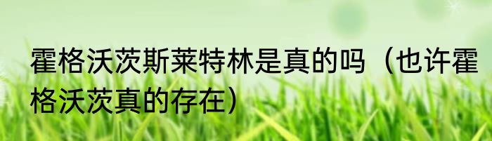 霍格沃茨斯莱特林是真的吗（也许霍格沃茨真的存在）