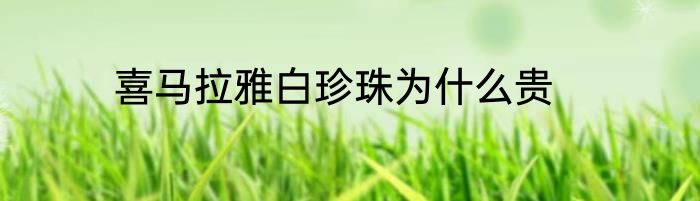 喜马拉雅白珍珠为什么贵