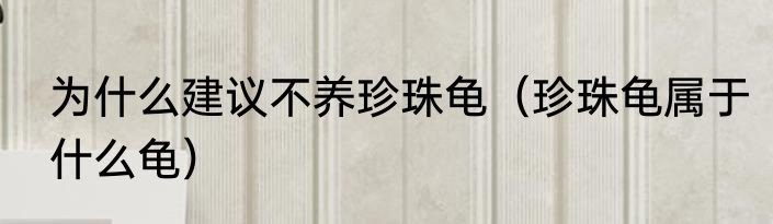 为什么建议不养珍珠龟（珍珠龟属于什么龟）