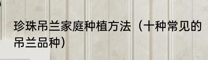 珍珠吊兰家庭种植方法（十种常见的吊兰品种）