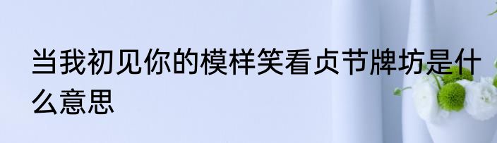 当我初见你的模样笑看贞节牌坊是什么意思