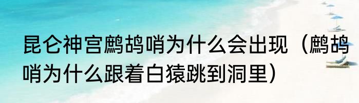 昆仑神宫鹧鸪哨为什么会出现（鹧鸪哨为什么跟着白猿跳到洞里）