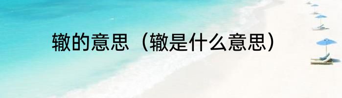 辙的意思（辙是什么意思）