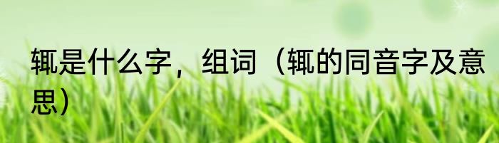 辄是什么字，组词（辄的同音字及意思）