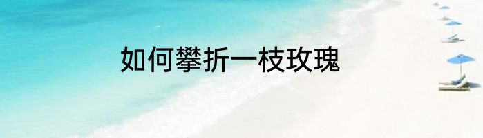 如何攀折一枝玫瑰