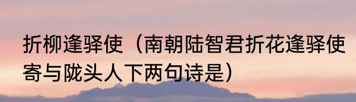 折柳逢驿使（南朝陆智君折花逢驿使寄与陇头人下两句诗是）