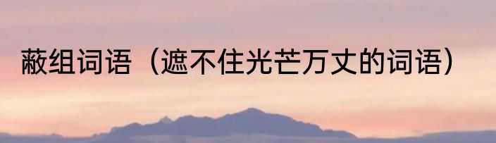 蔽组词语（遮不住光芒万丈的词语）