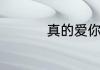 真的爱你粤语歌词谐音