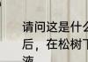 请问这是什么蘑菇可不可以吃下雨过后，在松树下的草地摘的，表面有粘液