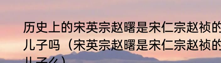 历史上的宋英宗赵曙是宋仁宗赵祯的儿子吗（宋英宗赵曙是宋仁宗赵祯的儿子么）