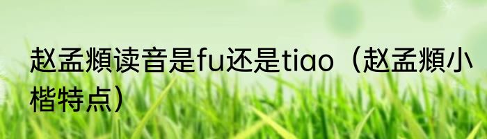 赵孟頫读音是fu还是tiao（赵孟頫小楷特点）