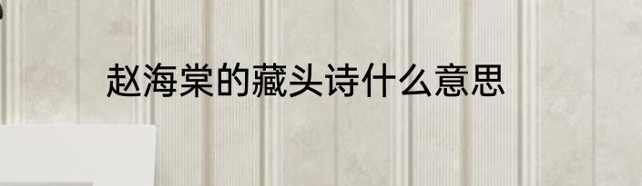 赵海棠的藏头诗什么意思