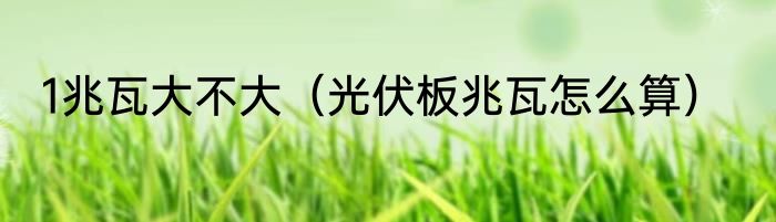 1兆瓦大不大（光伏板兆瓦怎么算）