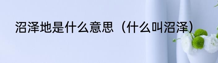 沼泽地是什么意思（什么叫沼泽）