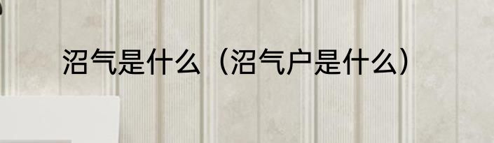 沼气是什么（沼气户是什么）