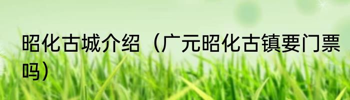 昭化古城介绍（广元昭化古镇要门票吗）