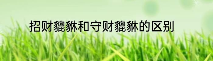 招财貔貅和守财貔貅的区别