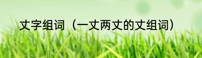 丈字组词（一丈两丈的丈组词）