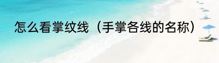 怎么看掌纹线（手掌各线的名称）