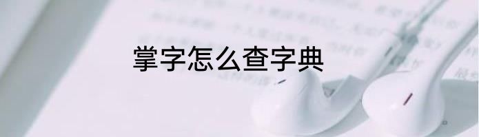 掌字怎么查字典
