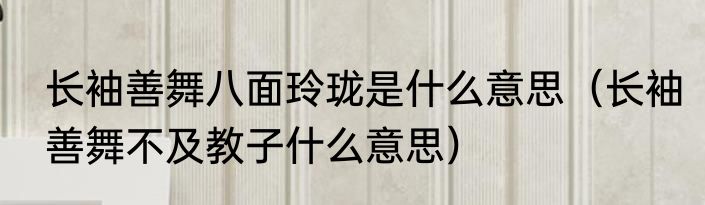 长袖善舞八面玲珑是什么意思（长袖善舞不及教子什么意思）