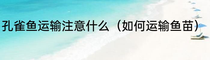 孔雀鱼运输注意什么（如何运输鱼苗）