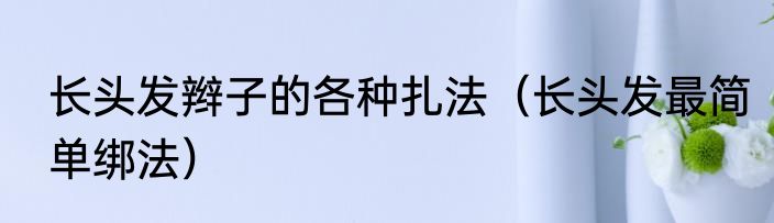 长头发辫子的各种扎法（长头发最简单绑法）