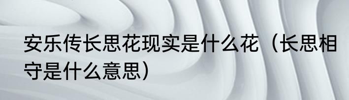 安乐传长思花现实是什么花（长思相守是什么意思）