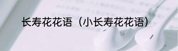 长寿花花语（小长寿花花语）
