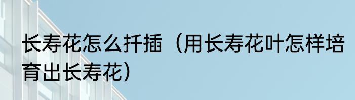 长寿花怎么扦插（用长寿花叶怎样培育出长寿花）