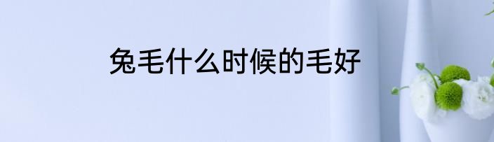 兔毛什么时候的毛好
