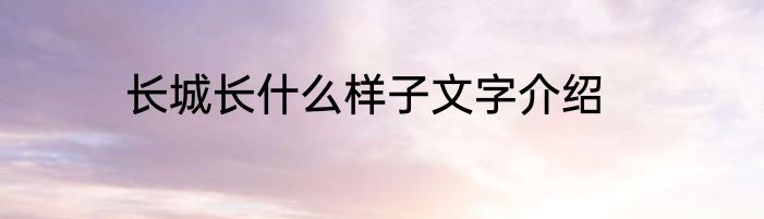 长城长什么样子文字介绍