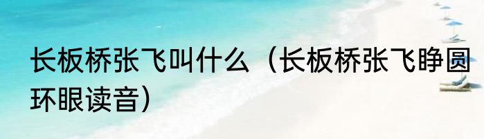 长板桥张飞叫什么（长板桥张飞睁圆环眼读音）