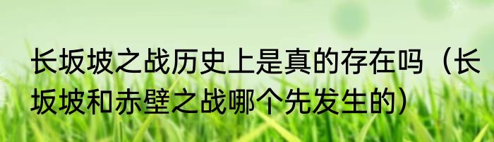 长坂坡之战历史上是真的存在吗（长坂坡和赤壁之战哪个先发生的）