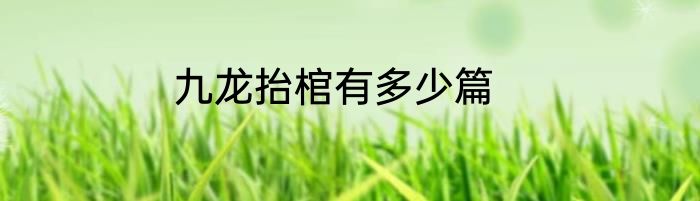 九龙抬棺有多少篇