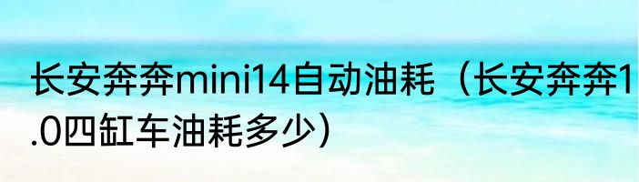 长安奔奔mini14自动油耗（长安奔奔1.0四缸车油耗多少）