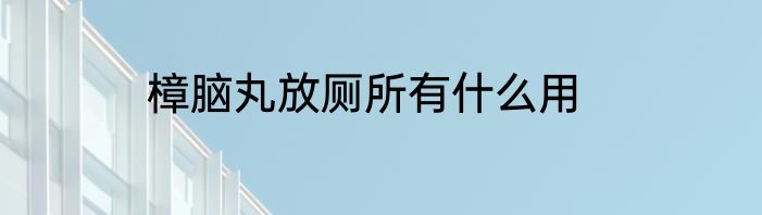 樟脑丸放厕所有什么用