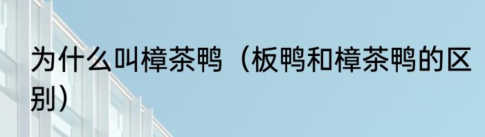 为什么叫樟茶鸭（板鸭和樟茶鸭的区别）