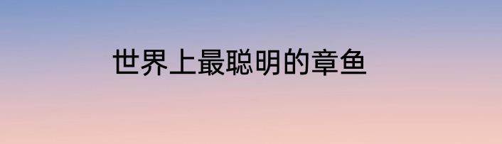 世界上最聪明的章鱼