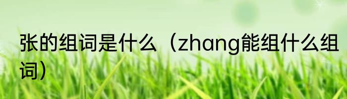 张的组词是什么（zhang能组什么组词）