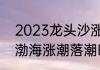 2023龙头沙涨潮退潮时间表（2023渤海涨潮落潮时间）