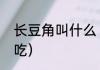 长豆角叫什么（长豆角什么时候可以吃）