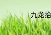 九龙抬棺有多少篇