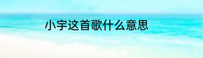 小宇这首歌什么意思