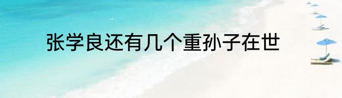 张学良还有几个重孙子在世