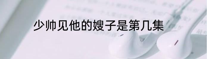 少帅见他的嫂子是第几集