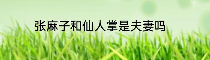 张麻子和仙人掌是夫妻吗