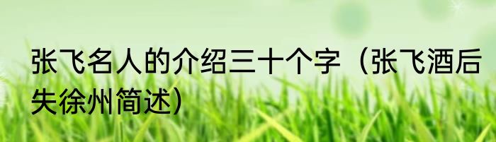 张飞名人的介绍三十个字（张飞酒后失徐州简述）