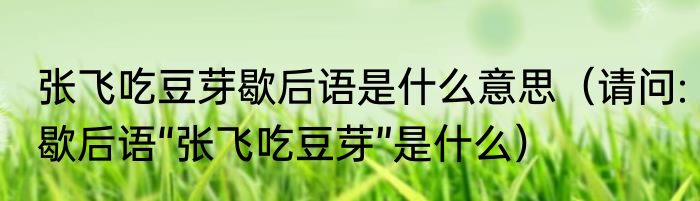 张飞吃豆芽歇后语是什么意思（请问:歇后语“张飞吃豆芽”是什么）