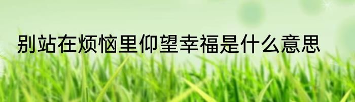 别站在烦恼里仰望幸福是什么意思